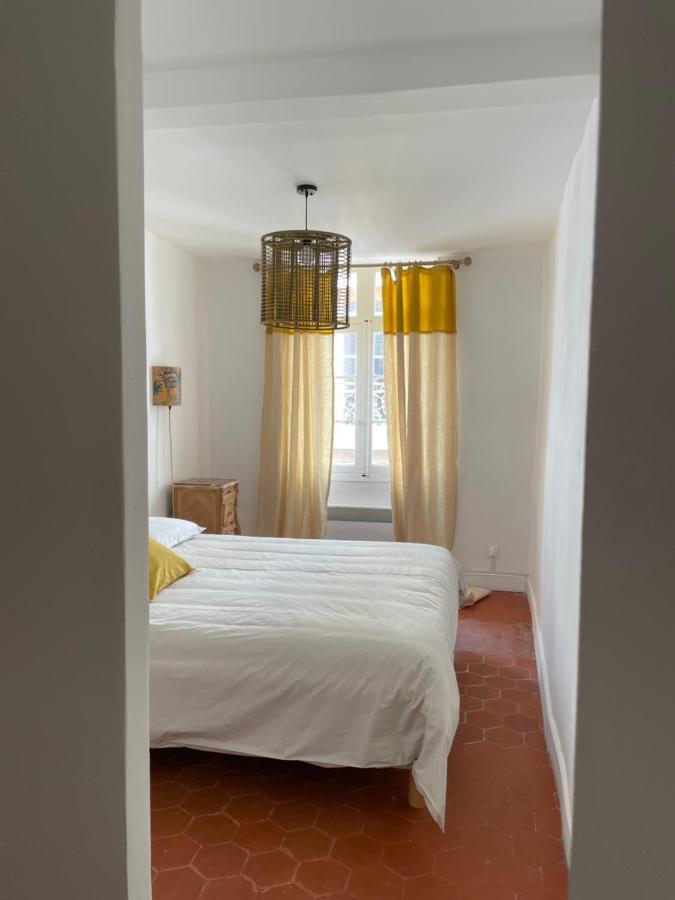 Maison Lligat, Appartements Dans Le Centre Historique 페르피냥 외부 사진